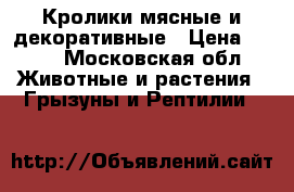Кролики мясные и декоративные › Цена ­ 350 - Московская обл. Животные и растения » Грызуны и Рептилии   